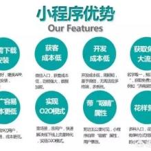 河南峰辉网络科技 深耕网络技术开发，赋能企业数字化转型