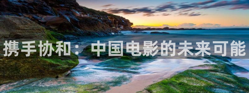 携手协和：中国电影的未来可能