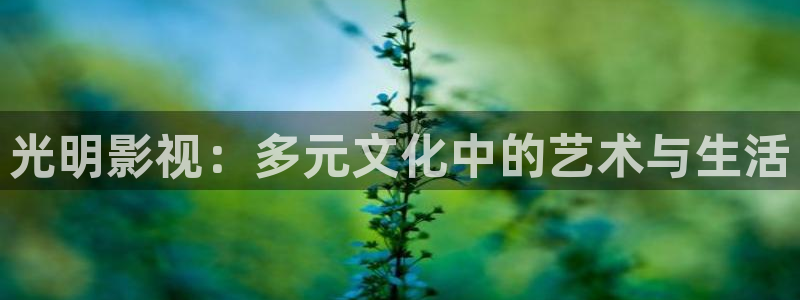 光明影视：多元文化中的艺术与生活