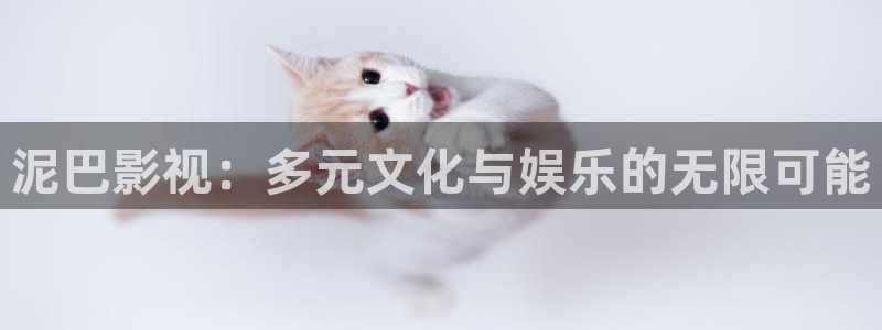 泥巴影视：多元文化与娱乐的无限可能