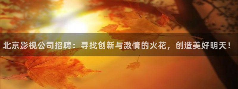 北京影视公司招聘：寻找创新与激情的火花，创造美好明天！