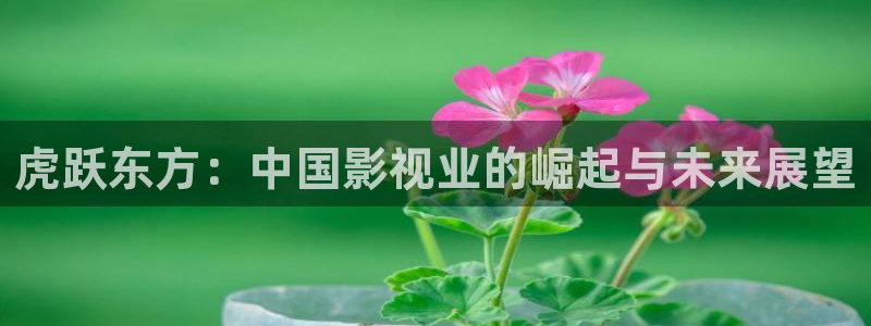 虎跃东方：中国影视业的崛起与未来展望