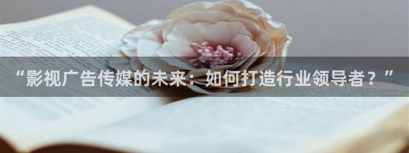 “影视广告传媒的未来：如何打造行业领导者？”