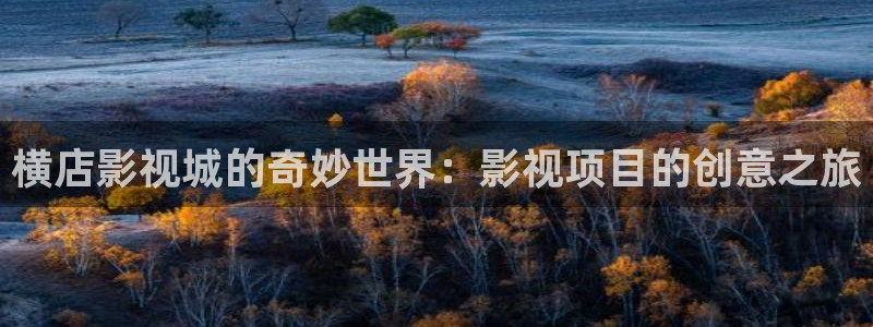横店影视城的奇妙世界：影视项目的创意之旅