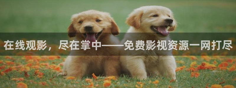 在线观影，尽在掌中——免费影视资源一网打尽