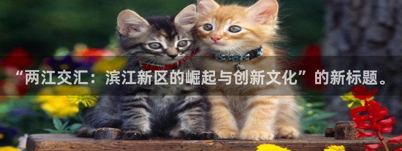 “两江交汇：滨江新区的崛起与创新文化”的新标题。