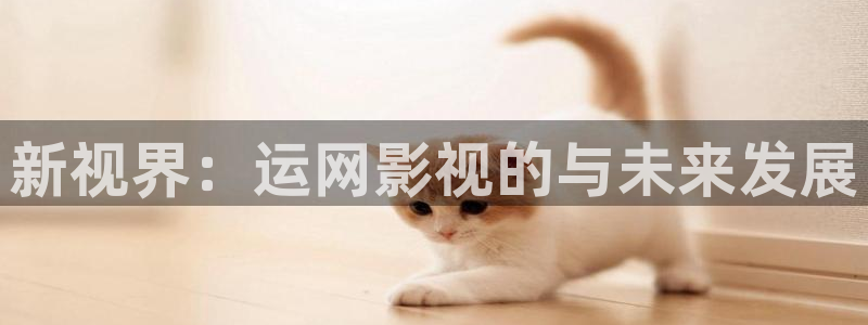 新视界：运网影视的与未来发展