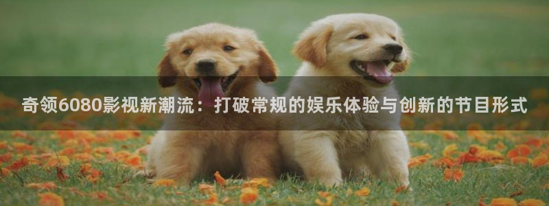 奇领6080影视新潮流：打破常规的娱乐体验与创新的节目形式