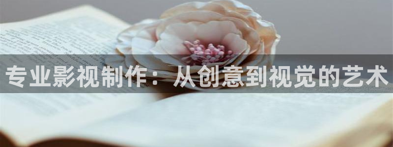 专业影视制作：从创意到视觉的艺术