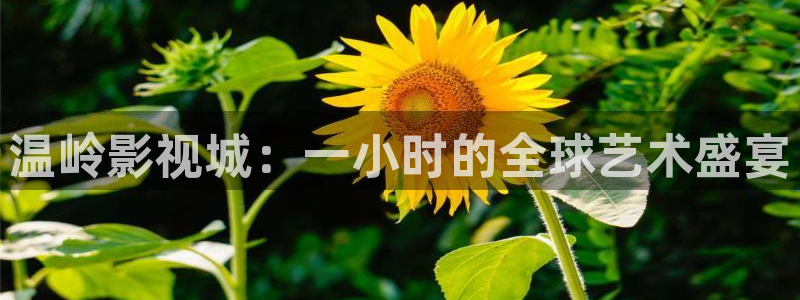 温岭影视城：一小时的全球艺术盛宴