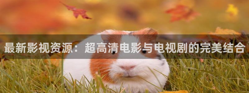最新影视资源：超高清电影与电视剧的完美结合